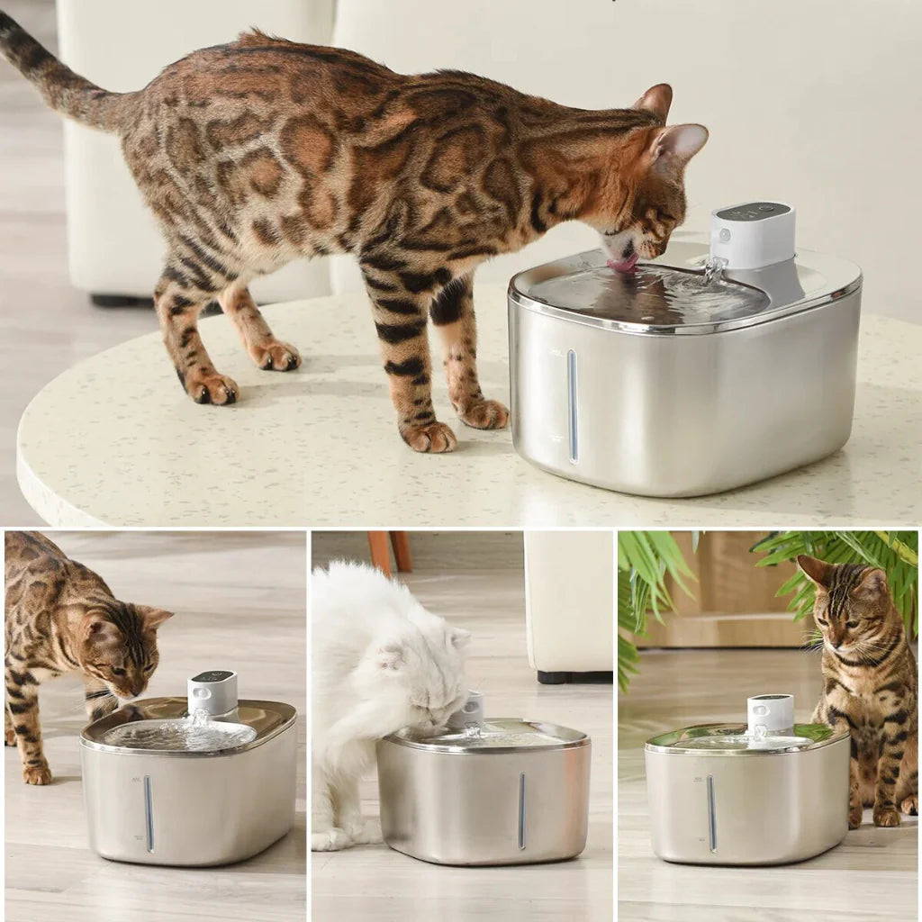 The ™ - Wireless Fountain