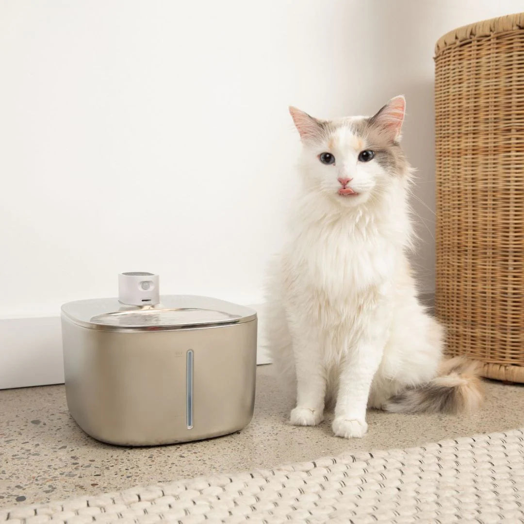 The ™ - Wireless Fountain