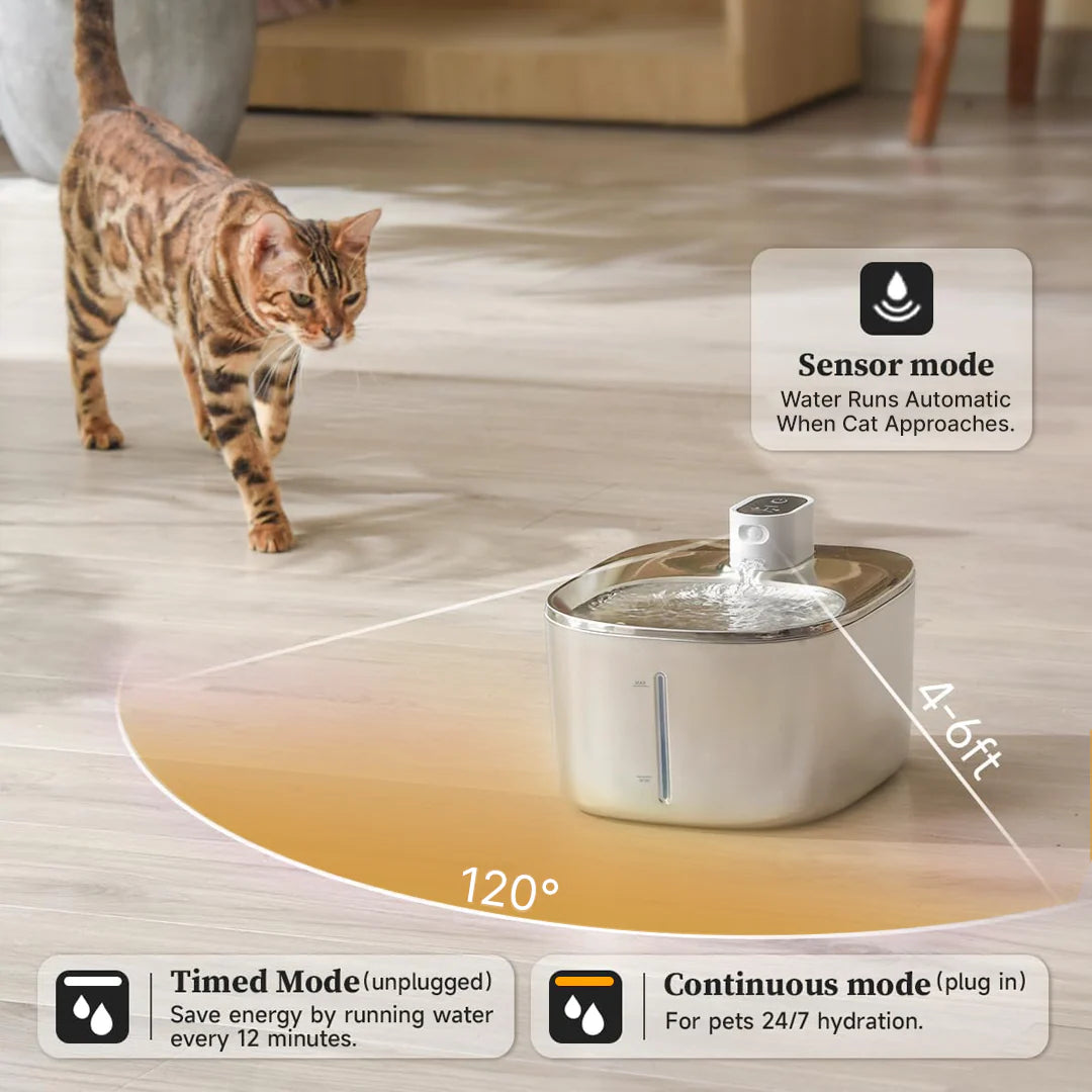 The ™ - Wireless Fountain