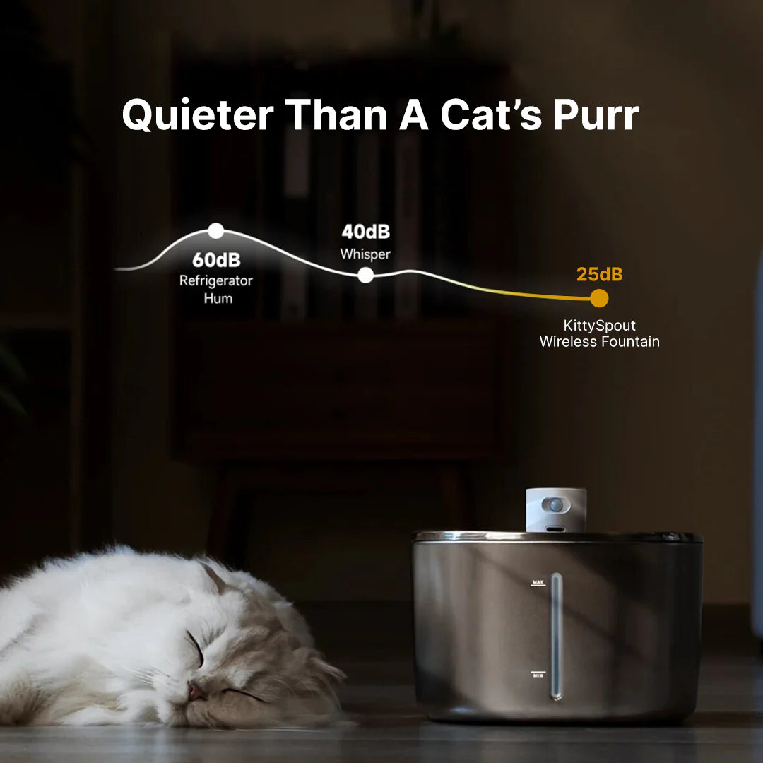 The ™ - Wireless Fountain